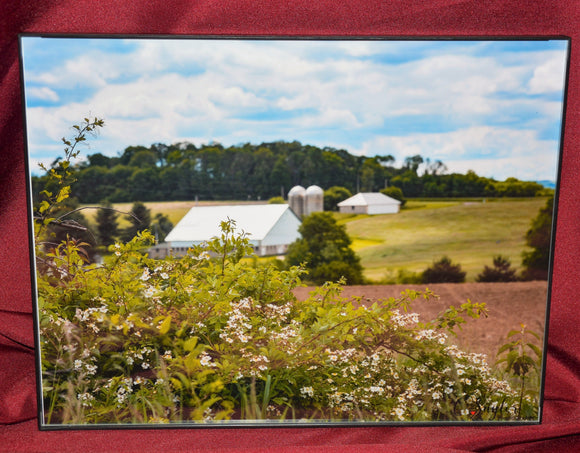 Framed Photo of 