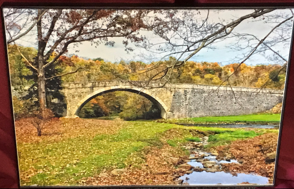 Framed Photo of 